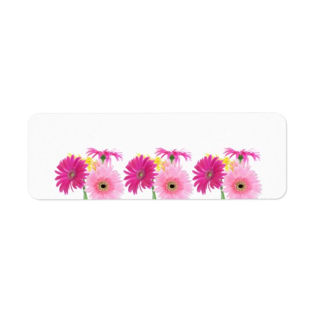 Gerbera Daisy Piink Flowers (Front)