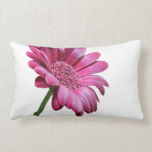 Gerbera Daisy Pillow
