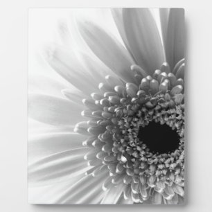 Gerbera Daisy Plaque