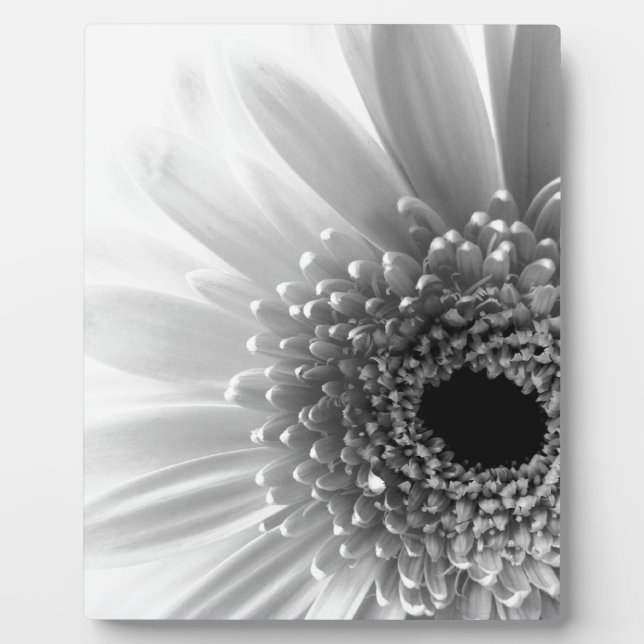 Gerbera Daisy Plaque (Front)