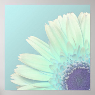 Gerbera Daisy Poster