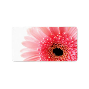Gerbera Daisy Poster Label
