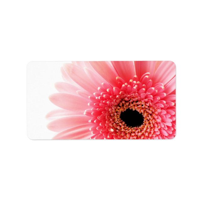 Gerbera Daisy Poster Label (Front)