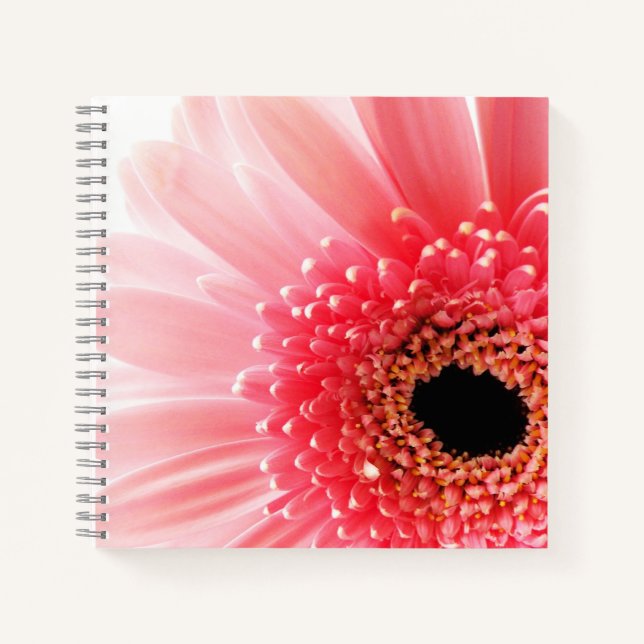 Gerbera Daisy Poster Notebook (Front)