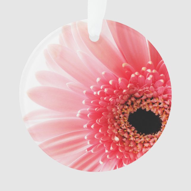 Gerbera Daisy Poster Ornament (Front)