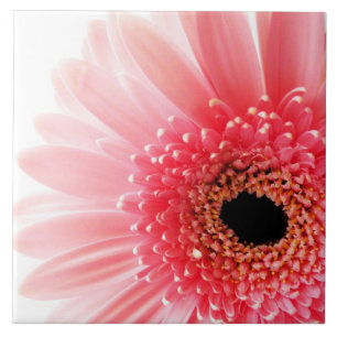 Gerbera Daisy Poster Tile