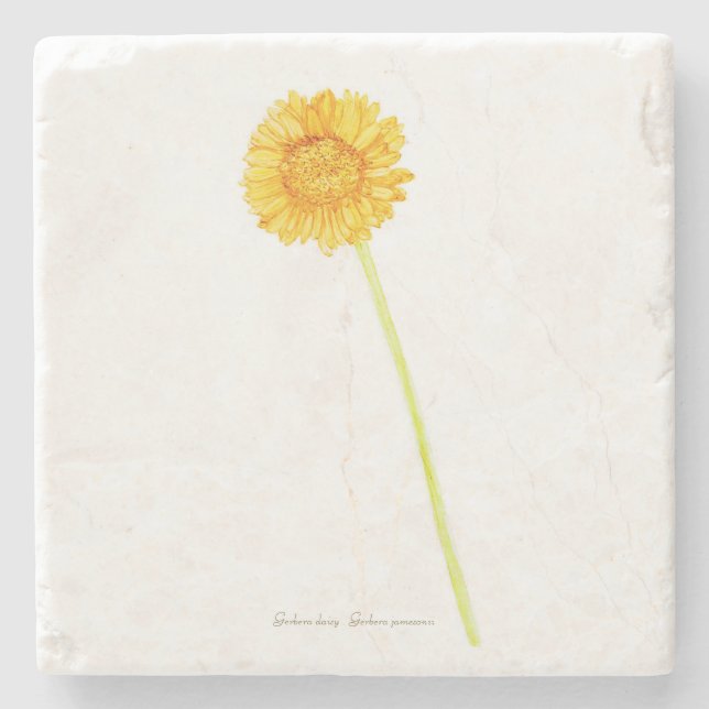 Gerbera daisy stone coaster (Front)
