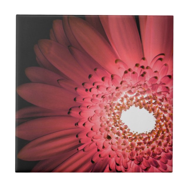 Gerbera Daisy Tile (Front)