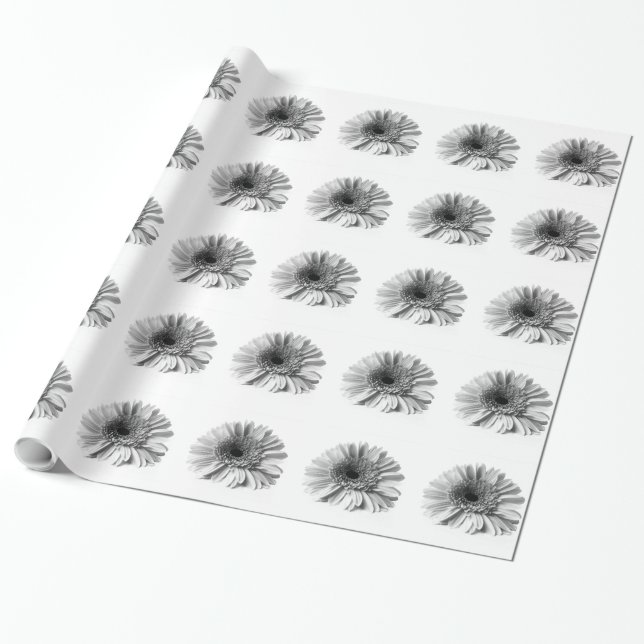Gerbera Daisy Wrapping Paper (Unrolled)