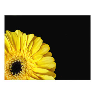 Gerbera Flower Photo Print