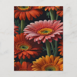 gerbera flowers postcard