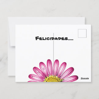 gerbera flowers postcard