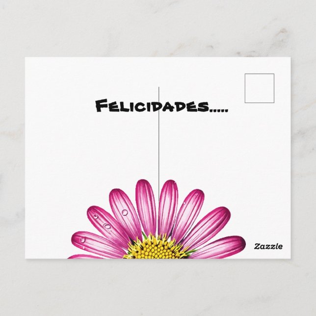 gerbera flowers postcard (Back)