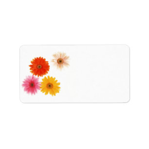 Gerbera Flowers Print Floating Flower Daisy Floral Label