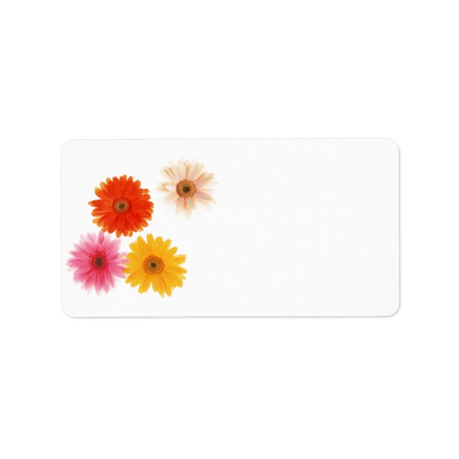 Gerbera Flowers Print Floating Flower Daisy Floral Label (Front)