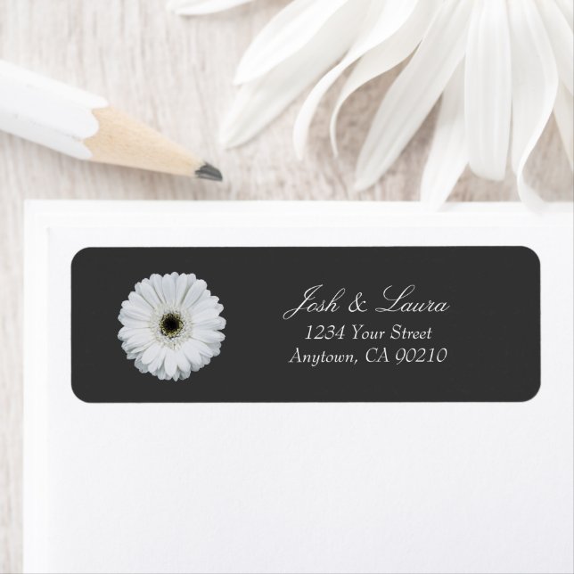 Gerbera noir et blanc | Adresse florale (En situation)