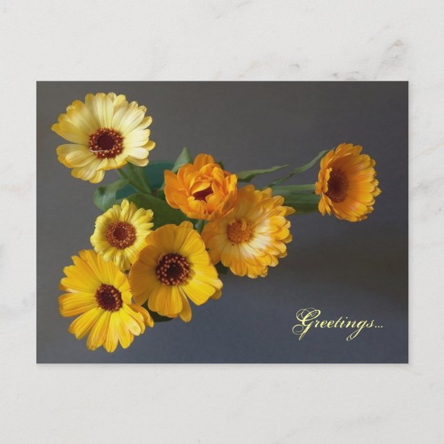 Gerbera Postcard (Front)