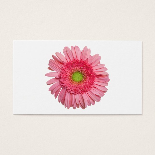 Gerbera Rose Daisy (Devant)