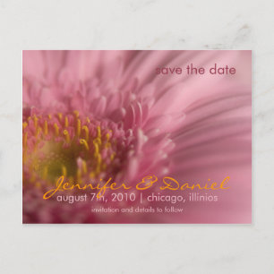 Gerbera rose • Sauvez la carte postale de date