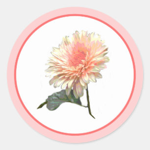 Gerbera Splinder Design Classic Round Sticker