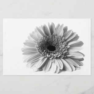 Gerbera Stationery