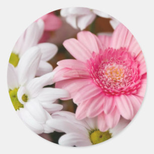 Gerberas And Chrysanthemums Classic Round Sticker