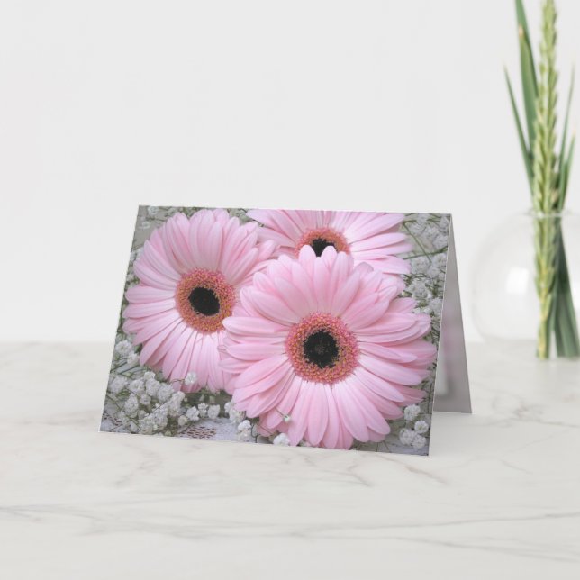 Gerberas rose - Carte Anniversaire (Devant)