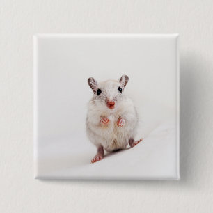 Gerbil Baby Animal Cute Pet Gerbils Template 2 Inch Square Button
