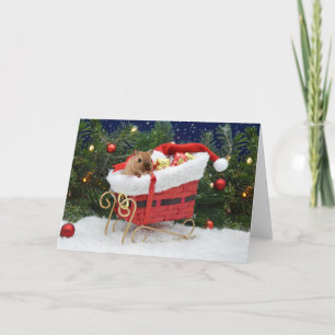 Gerbil Christmas Card