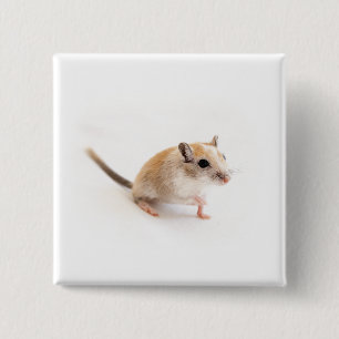 Gerbil Cute Baby Animal Pet Gerbils Template 2 Inch Square Button