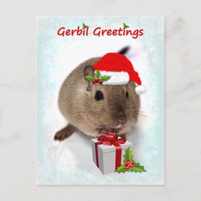 Gerbil Greetings Postcard (Front)