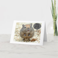 GERBIL SAYS "THE WORD IS OUT" GROUP BIRTHDAY