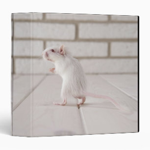 Gerbil standing binder