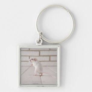 Gerbil standing keychain