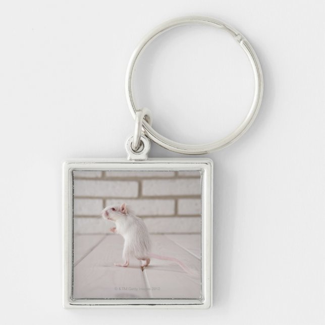 Gerbil standing keychain (Front)