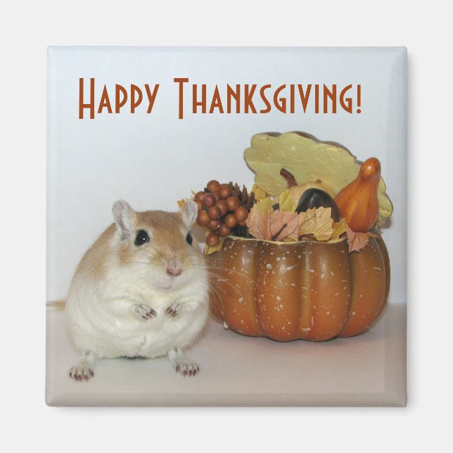 Gerbil Thanksgiving Magnet (Front)
