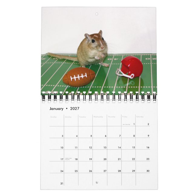 Gerbils Calendar (Reprint) (Jan 2027)