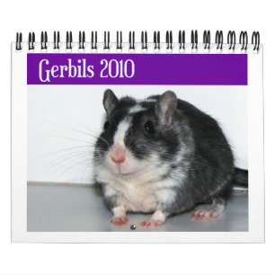Gerbils Calendar (Reprint)
