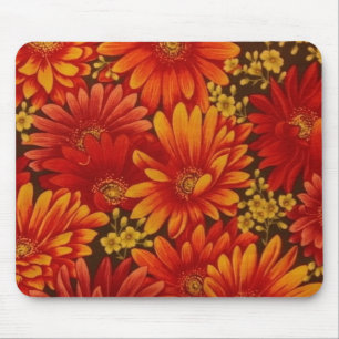Gerbra Daisies Mouse Pad