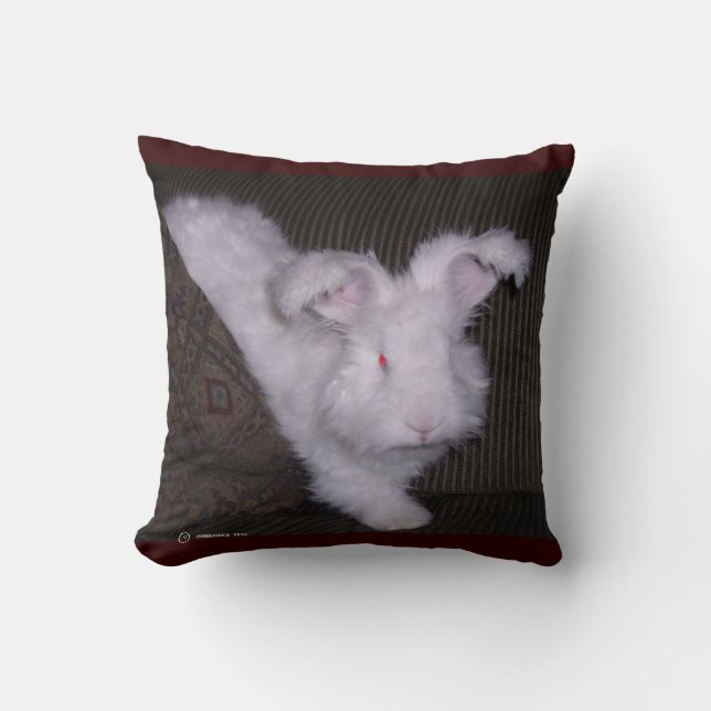 GERMAN ANGORA BUNNIE PILLOW (Front)