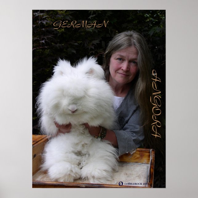 GERMAN ANGORA RABBIT ADD POSTER (Front)