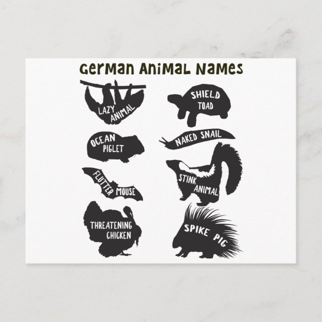 German Animal Names Postcard (Front)