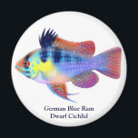 German Blue Ram Dwarf Cichlid Magnet<br><div class="desc">Collect all our colourful tropical fish magnets by designer Carolyn McFann of Two Purring Cats Studio.</div>
