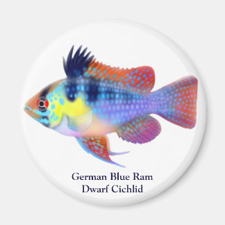 German Blue Ram Dwarf Cichlid Magnet