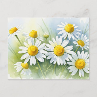 German Chamomile in Bloom Holiday Postcard