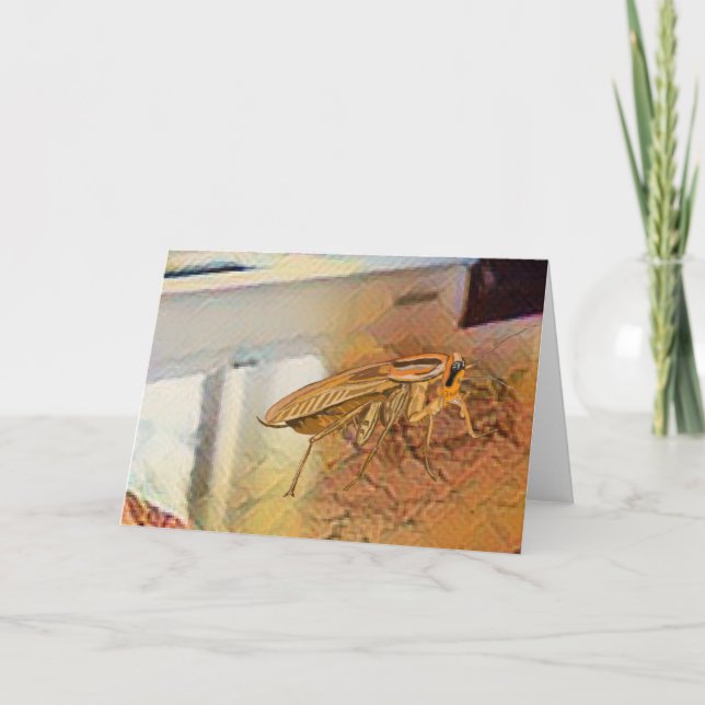 German Cockroach 🪳  Thank You Card (Front)