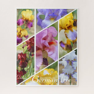 German Iris_01 [Jigsaw puzzle: 520P]Jigsaw Puzzle