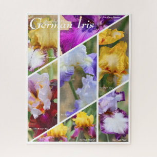German Iris_02 [Jigsaw puzzle: 520P]Jigsaw Puzzle