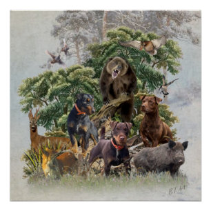 German Jagdterrier , Always ready to hunt  Poster