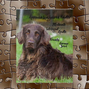 German Long-Haired Pointer Jigsaw Puzzle